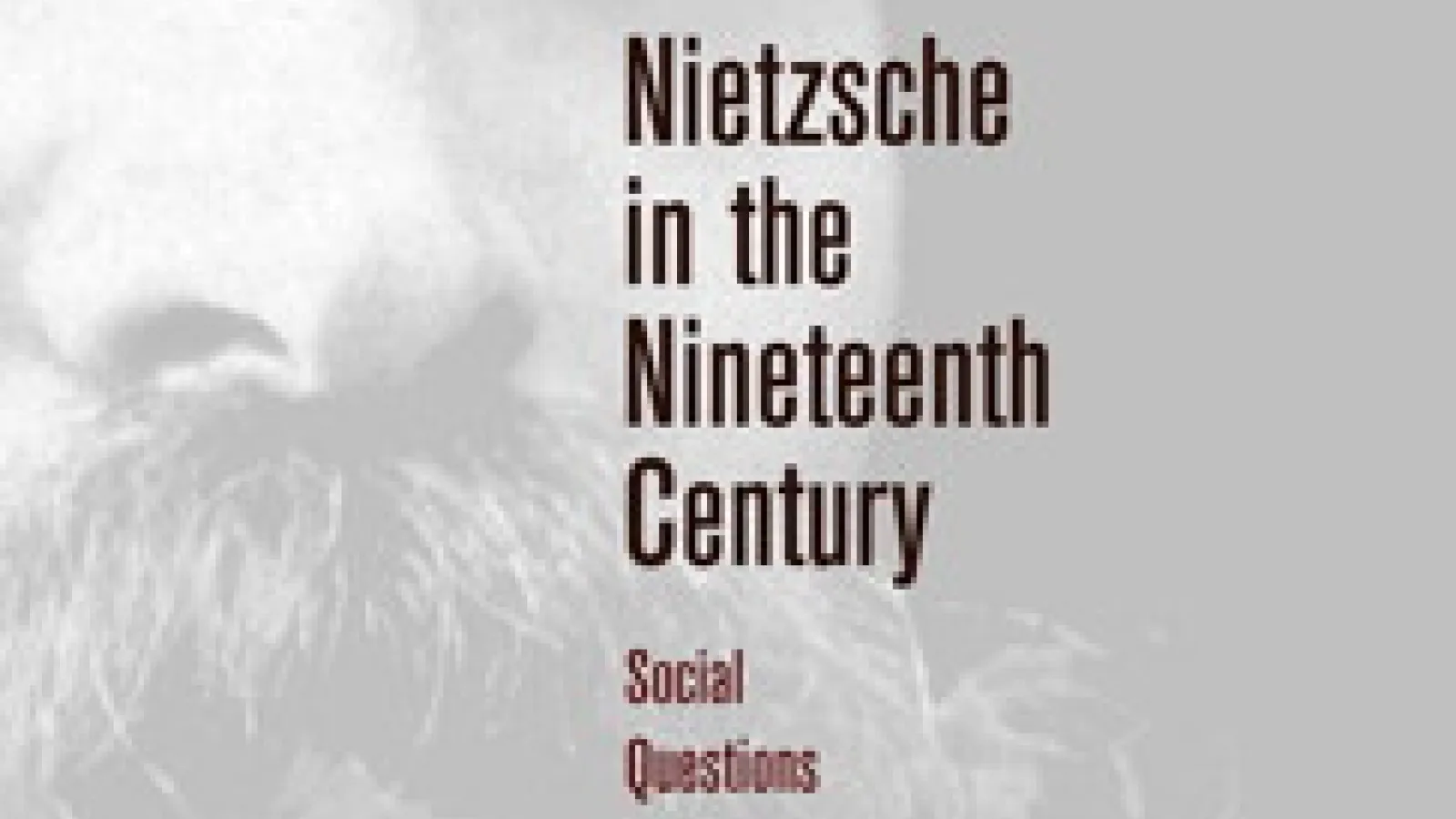 Holub publishes Nietzsche volume