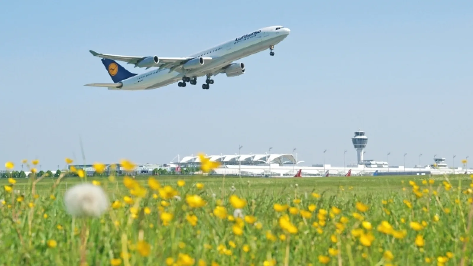 Study Abroad in Dresden