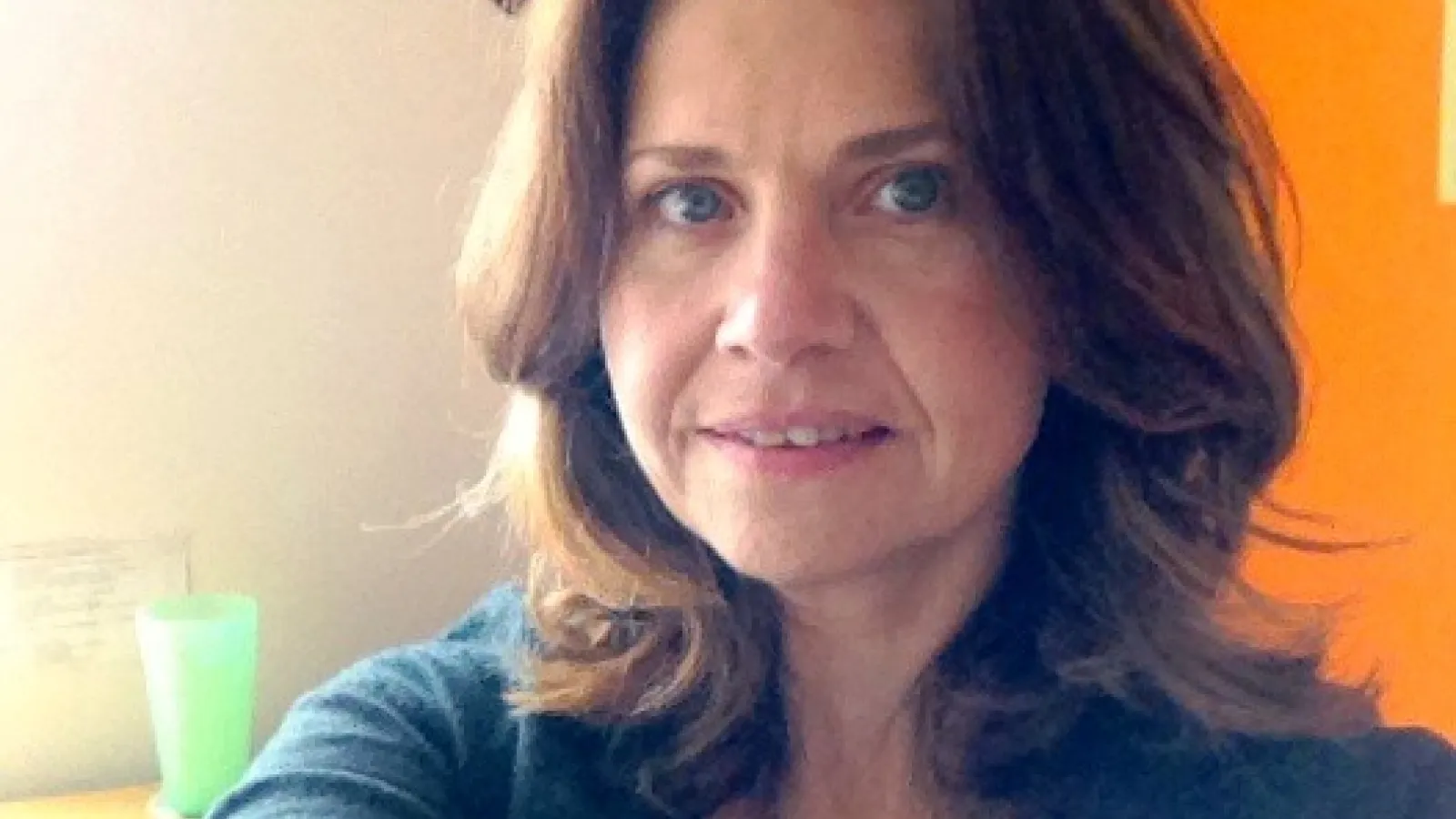 Prof. Taleghani-Nikazm Ohio State Dept. of Germanic Languages and Literatures