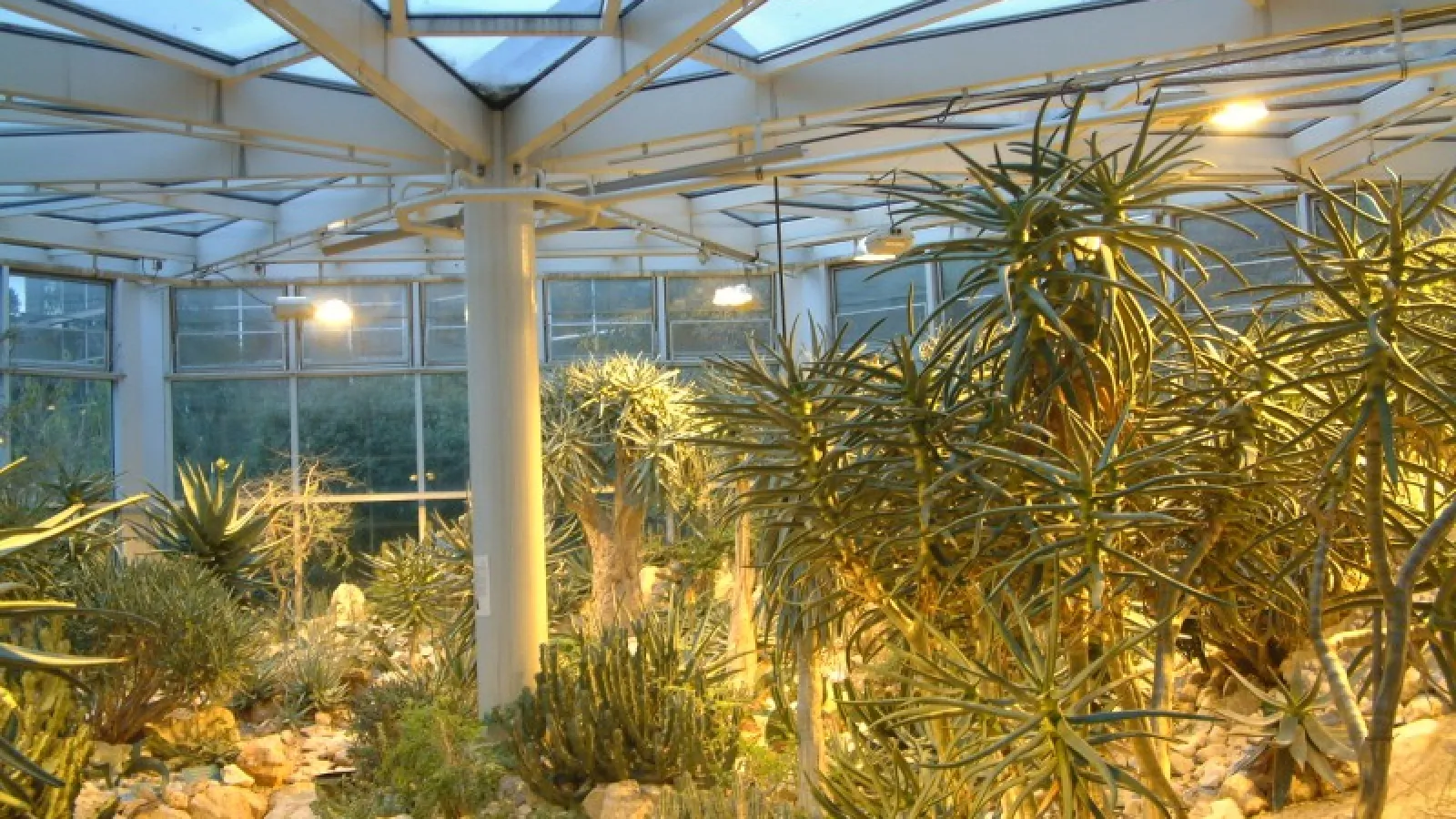 Ffm Palmengarten