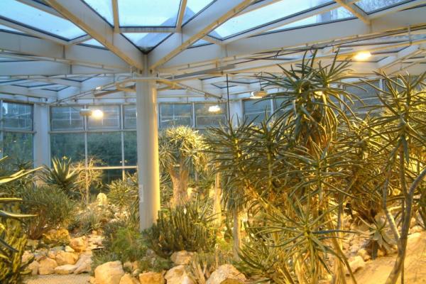 Ffm Palmengarten Ffm Palmengarten