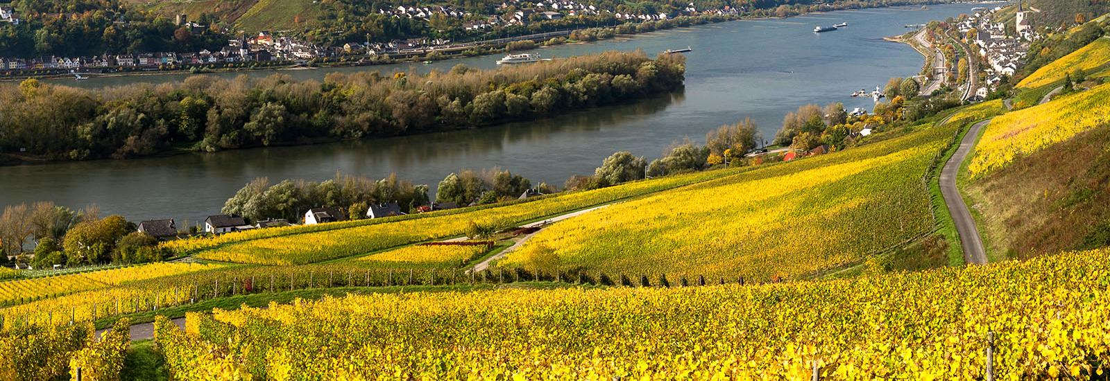 Rhein River Panorama